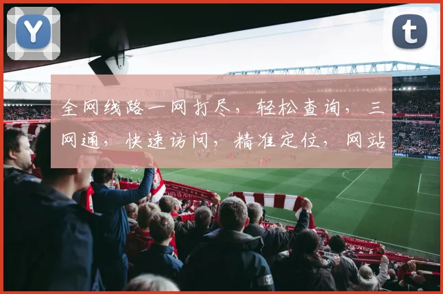 全网线路一网打尽，轻松查询，三网通，快速访问，精准定位，网站线路查询必备