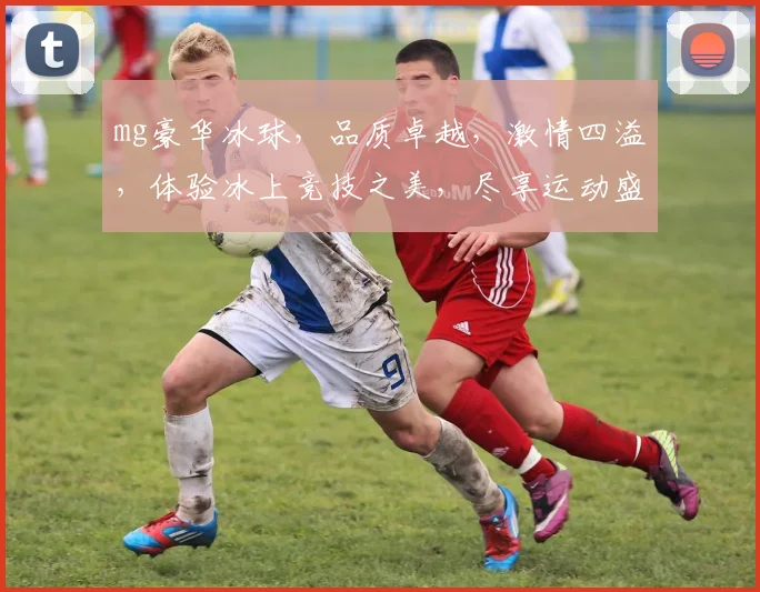 mg豪华冰球，品质卓越，激情四溢，体验冰上竞技之美，尽享运动盛宴，尽在mg