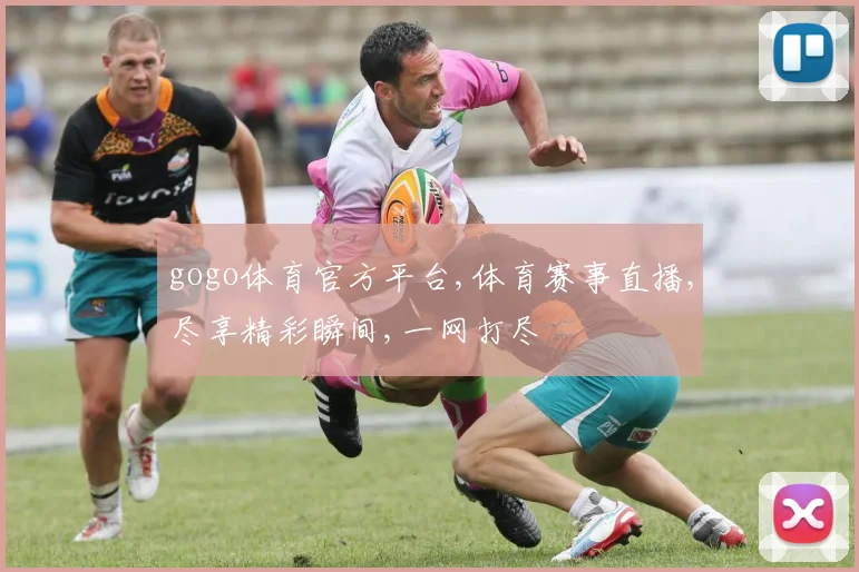 gogo体育官方平台,体育赛事直播,尽享精彩瞬间,一网打尽